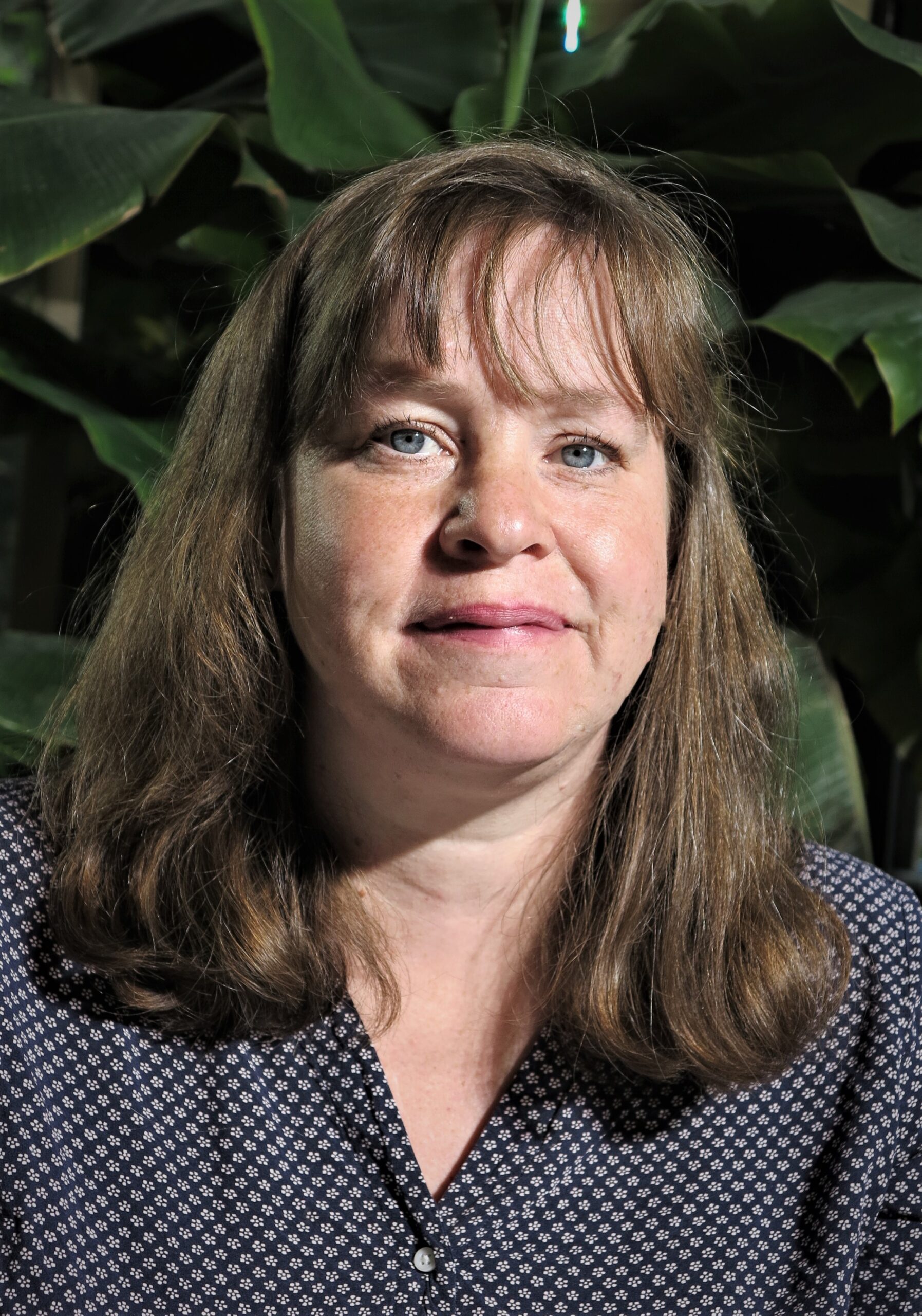 Maria Lindqvist Konferensråd LOS